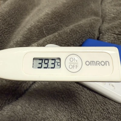 みなさまこんばんは(ˆ .  ̫ . )"