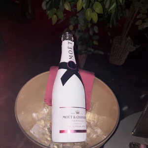 こんばんは、ななです😽の写真2枚目