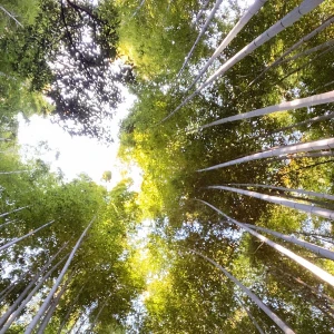 今日ももう出勤してます！！の写真1枚目