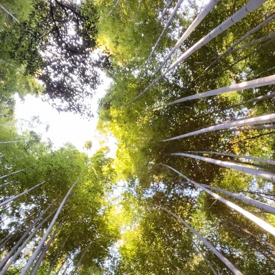 今日ももう出勤してます！！