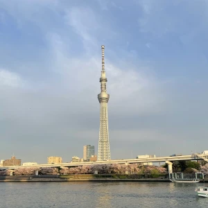 この前行った浅草♡  スカイツリーが綺麗だったよう〜(´ｰ｀)の写真1枚目