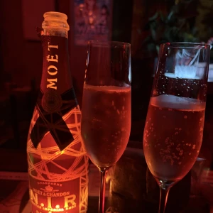 ましろ本日も出勤です🦖🐾の写真3枚目