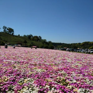 GW最終日♡の写真1枚目
