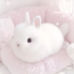 こんばんは🌛ティアラりなです！の写真1枚目