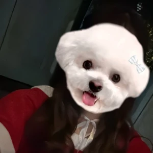 こんばんは🌙の写真1枚目