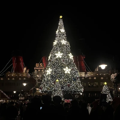 こんばんは🌟あいらですჱ̒^_ .̫ _^