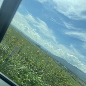 しゅっきん！の写真2枚目