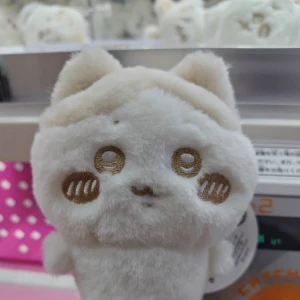 今日います✨良かったら🍸✨の写真1枚目