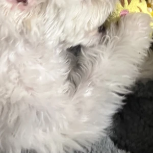 12/4の写真1枚目