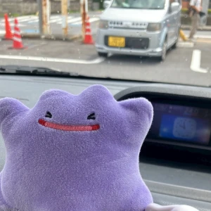 7/16の写真1枚目