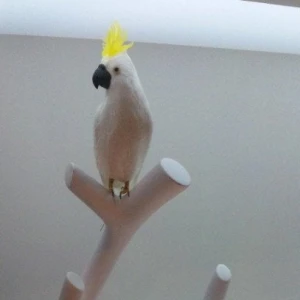 出勤！の写真1枚目