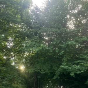 6.21の写真1枚目