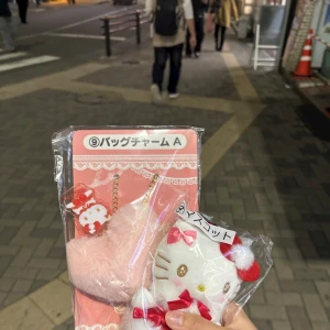 ᐕ)ﾉ 11.3の写真1枚目