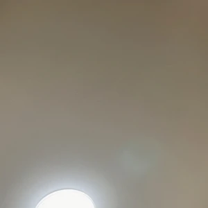 7/25①の写真1枚目