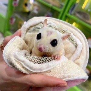 なつです💕の写真1枚目