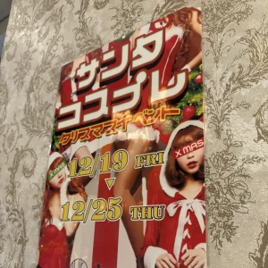 12/23の写真1枚目