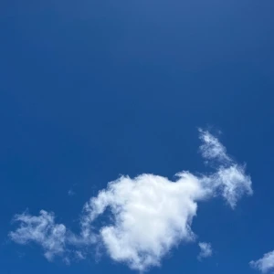 💛の写真1枚目