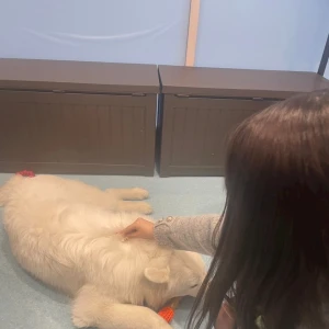さもえどちゃん🐻‍❄️の写真1枚目
