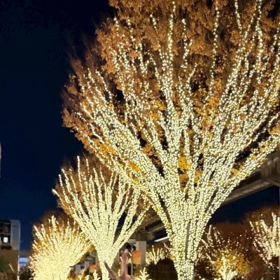イルミネーションの季節✨
