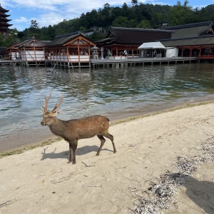 9月12日の写真1枚目