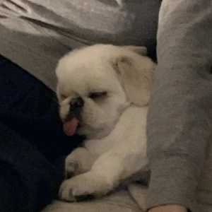 こんばんわん！みゆです🥂💫の写真1枚目