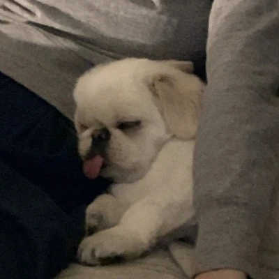 こんばんわん！みゆです🥂💫