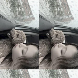 🐶❤️の写真1枚目