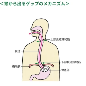 病院はｲﾔｰｰｰｯｯｯ‼️‼️‼️の写真1枚目