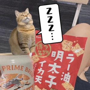 チートって...の写真1枚目