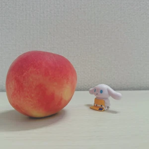 いますの写真1枚目