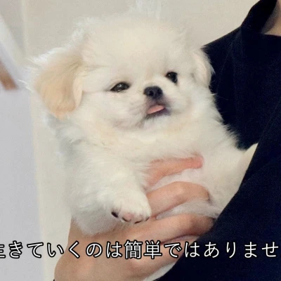 んばんは！みおんです🧸💭