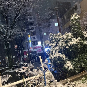 昨日雪凄かったね⛄️の写真1枚目